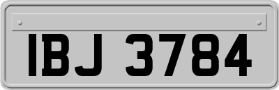 IBJ3784