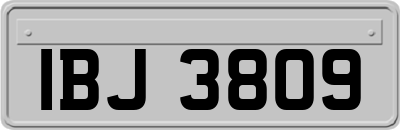 IBJ3809