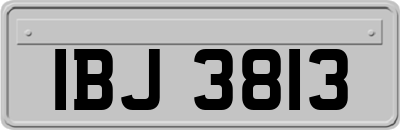 IBJ3813