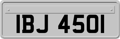 IBJ4501