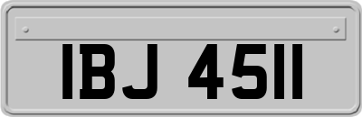 IBJ4511