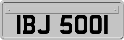 IBJ5001