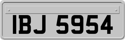 IBJ5954