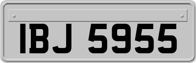 IBJ5955