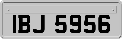 IBJ5956