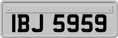 IBJ5959