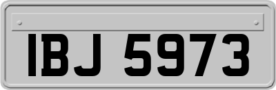 IBJ5973