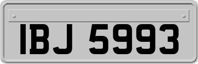 IBJ5993