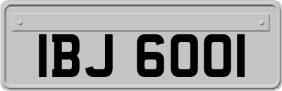 IBJ6001