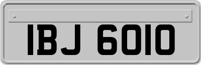 IBJ6010