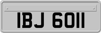 IBJ6011