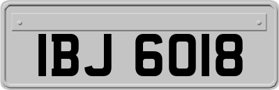 IBJ6018