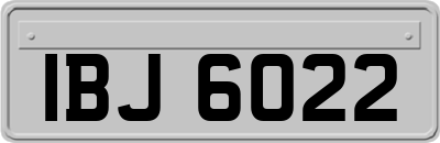 IBJ6022