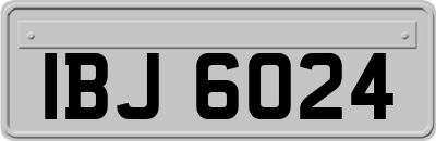 IBJ6024