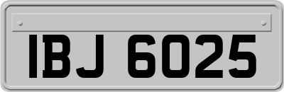 IBJ6025