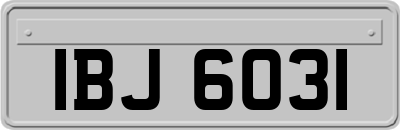 IBJ6031