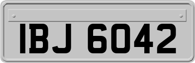 IBJ6042