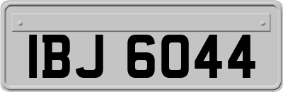 IBJ6044