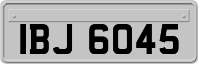 IBJ6045