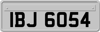 IBJ6054