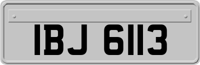 IBJ6113