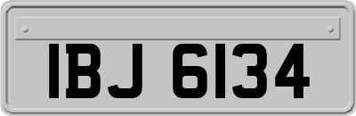 IBJ6134