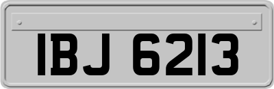 IBJ6213