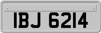 IBJ6214