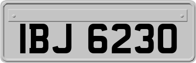 IBJ6230