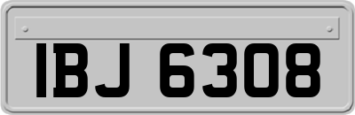 IBJ6308