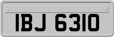 IBJ6310