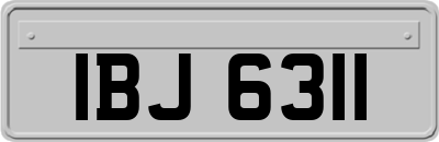 IBJ6311