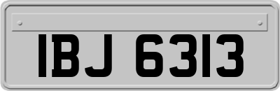 IBJ6313