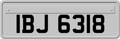 IBJ6318