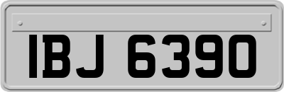 IBJ6390