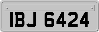 IBJ6424