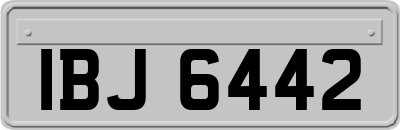 IBJ6442