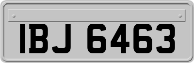 IBJ6463