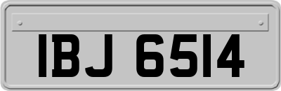 IBJ6514