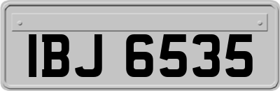 IBJ6535