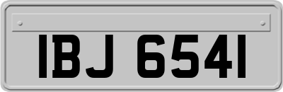 IBJ6541