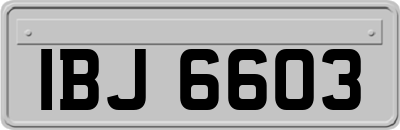 IBJ6603