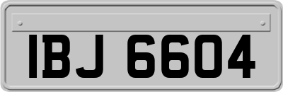 IBJ6604