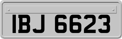 IBJ6623