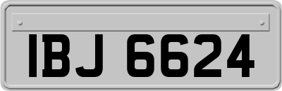 IBJ6624