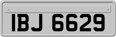 IBJ6629