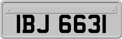 IBJ6631