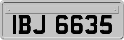 IBJ6635