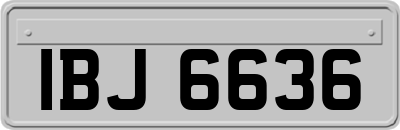 IBJ6636