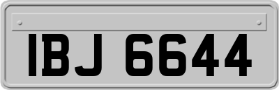 IBJ6644